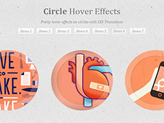 css3, CSS3 Transitions, hover effect